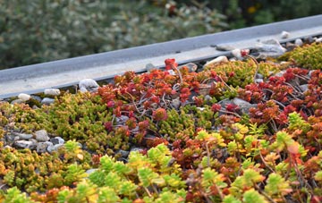 the cost of Round Spinney green roof installation