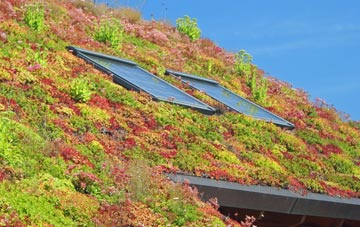 Round Spinney living roof systems