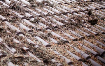 Round Spinney roof cleaning companies